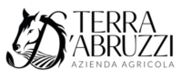 Terra D'Abruzzi | Azienda Agricola Bio in Abruzzo